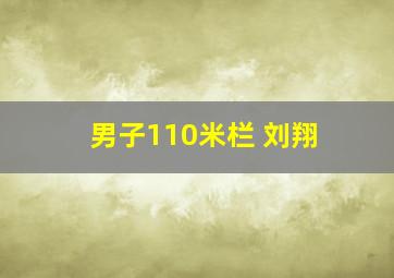 男子110米栏 刘翔